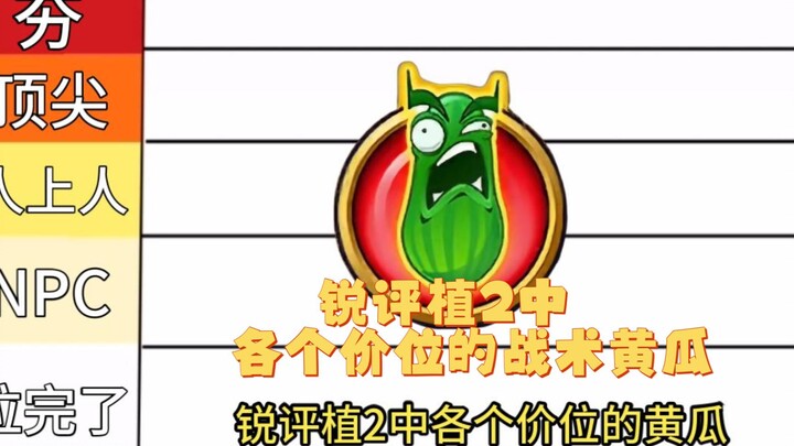 [Guai Rui] A Sharp Review of Cucumbers at Different Price Points in Plant 2