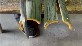 Look at how bamboo is broken.