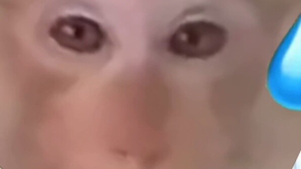 I have seen the quality of a certain audio