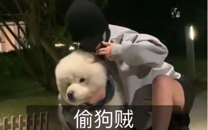 หมาตัวนี้อ้วนเกินไป ขโมยไม่ได้!