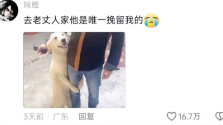 When My Boyfriend Met My Dad for the First Time 😂