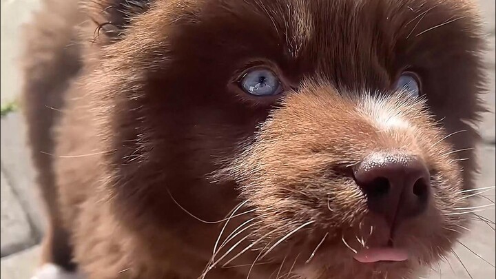 Sifatnya yang polos dan lugu sama sekali nggak berubah.