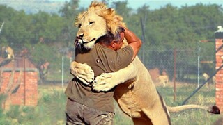 Animals Reunited With Owners After Years.