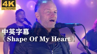 Sting《Shape Of My Heart》这个杀手不太冷主题曲现场版来啦！！！（斯汀）