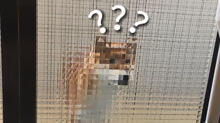 《Đại hội hành vi kỳ lạ của động vật 203》