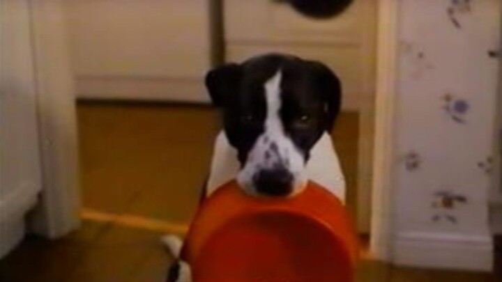 Life Goes On Series Finale Theme Song (1989 - 1993)