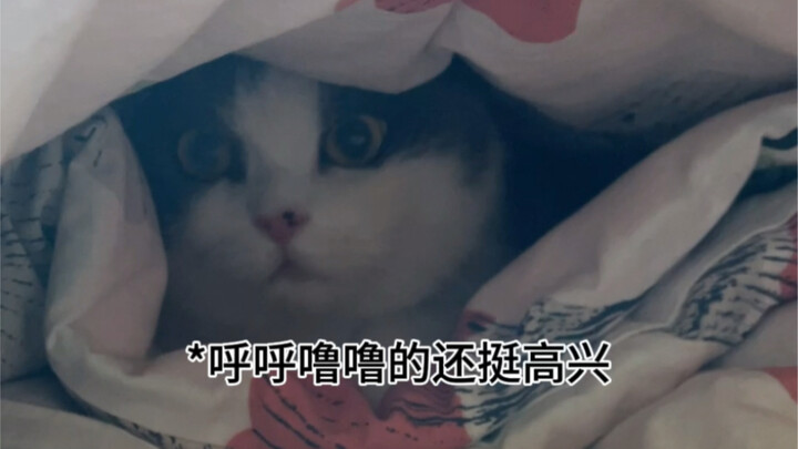 Yuanyuan loves snuggling under the covers because they smell like Mom.