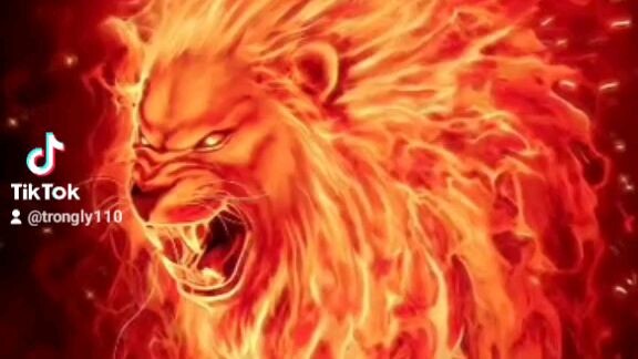 tui không có những phim như vậy