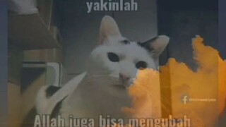 halal