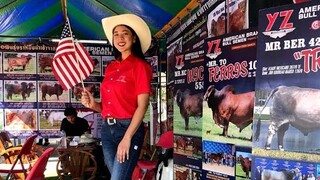 หมอแอมพาชมบรรยากาศงานประกวดวัวบุรีรัมย์ Buriram Brahman Classic Show2019