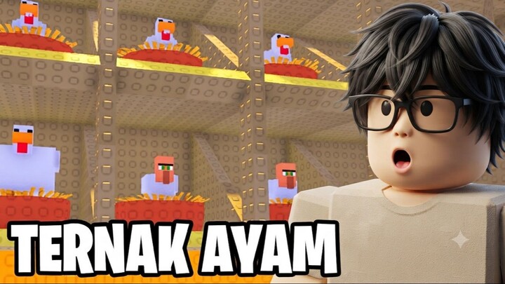 AKU TERNAK RIBUAN AYAMKU SENDIRI!!!