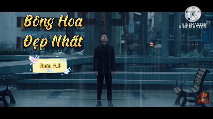 Bông Hoa Đẹp Nhất