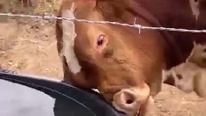 You might not believe it, but this water jar won’t let me drink!