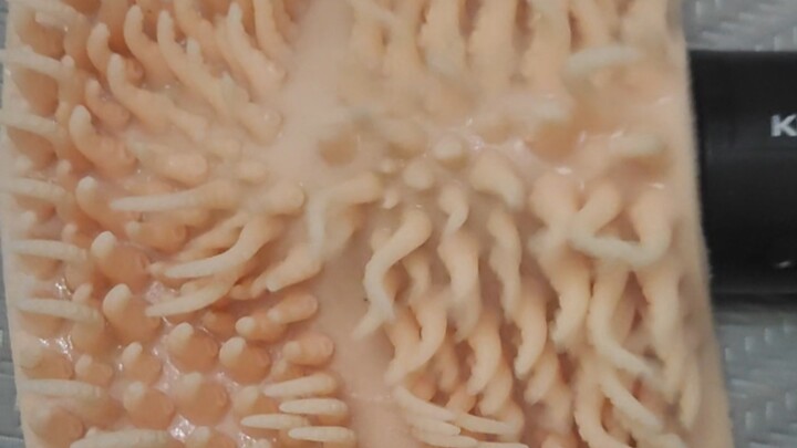 صناعة ثوب مخالب من الصفر 1