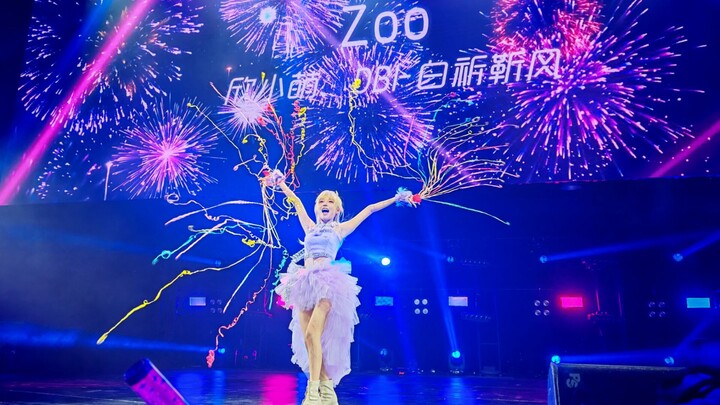 - Xin Xiaomeng - “ZOO” Home Dance Original Night: Front Row Live Stream from Phone