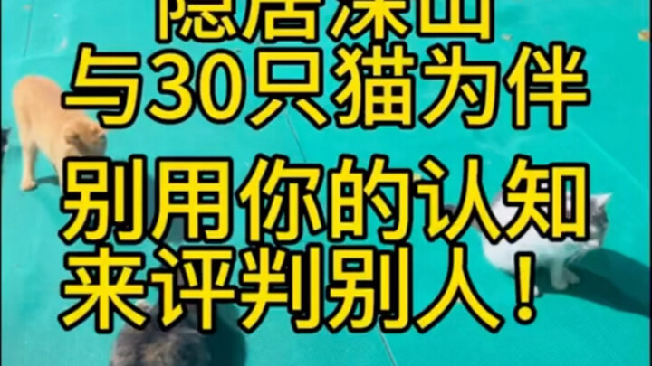 يعيش في عزلة بجبالٍ نائية مع أكثر من 30 قطةً مشردة كرفاق له