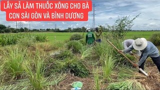 Bụi sả cộng rau giúp nhau lúc khó khăn tuy không quý giá nhưng thấm đậm tình người quê