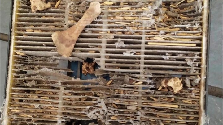 汽修工遇到的离谱故障，Jerry的空调滤芯