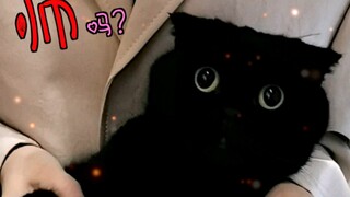 当千岁岁第一次跳舞…别问我肚皮咋回事哈！老粉都知道…