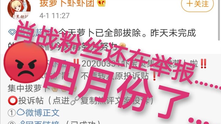 肖战粉丝今天仍在举报中