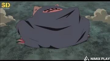 NARUTO SHIPPUDEN SERU