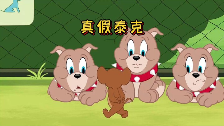 杰瑞想帮汤姆找回泰克，可是却遇到了拥有相同打招呼方式的小狗