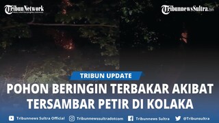 Pohon Beringin di Jalan Abadi Kolaka Sultra Terbakar Disambar Petir, Api Dipadamkan Setelah 1 Jam