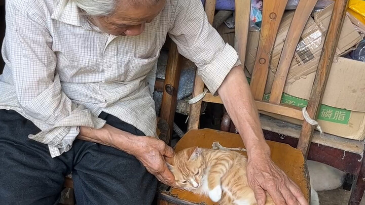 Grandpa said that last week, while he was cleaning upstairs, he came down to find three tiny kittens