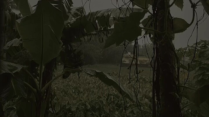 Rainy ft. Teenage Monalisa