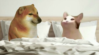 Jika pacarmu saat ini bukan aku, apakah kamu akan selingkuh?