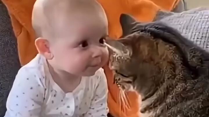 Baby lucu belajar ngomong sama kucing#catshorts #kucinglucu #viralvideo