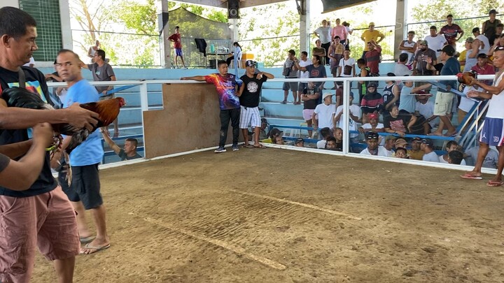 Thursday FK, 3X winner na c Pula😀