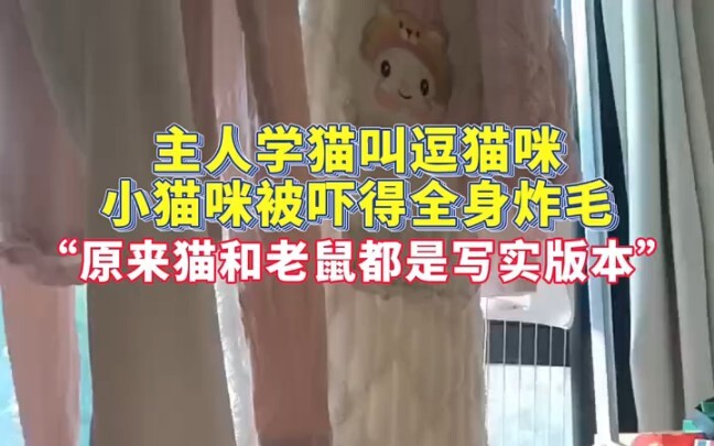 “Turns out both Tom and Jerry are in a realistic, lifelike version!”