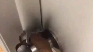 成 年 阴 影