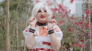 Tiga saudara perempuan dari gadis kucing dari proyek Oriental-Kuil Hao De tiga bunga, oranye, kucing