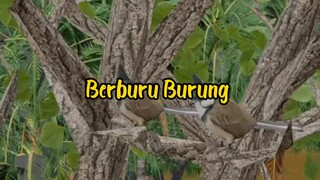 Berburu Burung