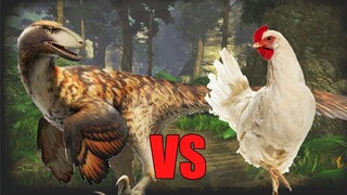 Velociraptor vs Chicken | SPORE
