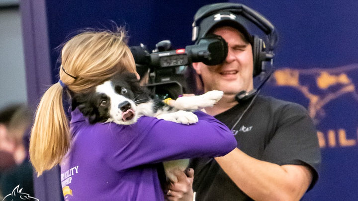 2020 Westminster Kennel Club Dog Show Agility Event: Champions from Each Division – Highlights Editi