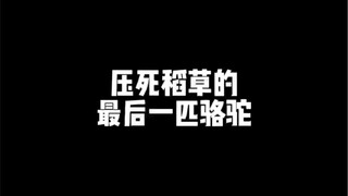 压死稻草的最后一匹骆驼