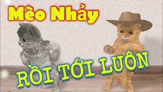 Mèo hát RỒI TỚI LUÔN - NAL | Mèo cover | Mèo nhảy chachacha cực đỉnh |