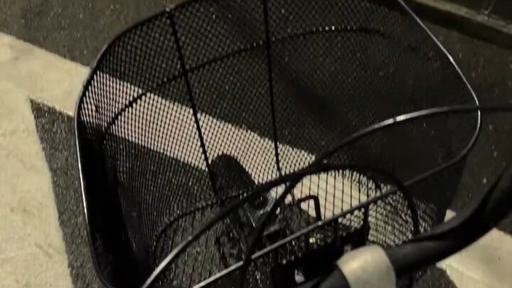 Netesssii sing gawe loro