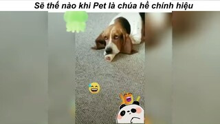Mặt nó kiểu cứ bj hài ý #haihuoc #funny