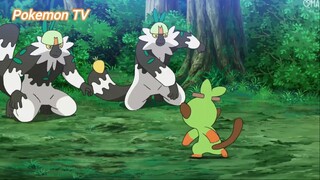 Pokemon (Short Ep 76) - Nhiệm vụ cuối cùng của cuộc thi #pokemon