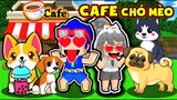 PHONG CẬN VÀ HERO TEAM 😂 1 NGÀY REVIEW QUÁN CÀ PHÊ CHÓ MÈO CỰC ĐÁNG YÊU | BÉ MƯA TRONG MINI WORLD