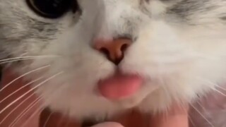 Oops, I forgot to retract my tongue!!!