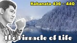 The Pinnacle of Life / Kabanata 436 - 440