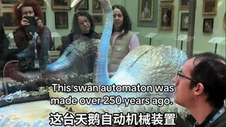英国Bowes博物馆一台250多年前的机械装置：银天鹅，现在每天表演一次