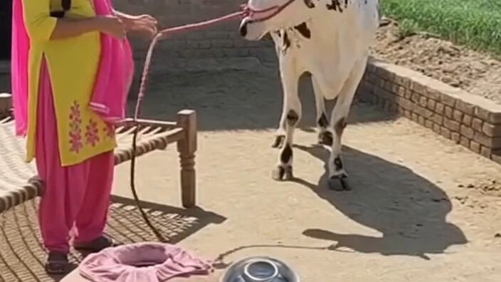 entertainment video
