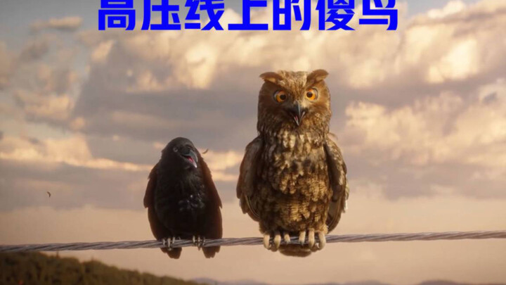 Three silly birds were partying on a high-voltage wire and actually attracted a mechanical dancing b