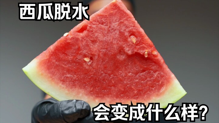 What happens to a dehydrated watermelon? Will it still taste good? | “Do You Like It All Wet?” serie